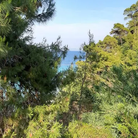 Joanna's Seaside Villa *