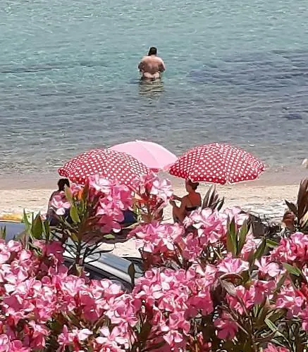 Joanna's Seaside * Kallithea (Chalkidiki)